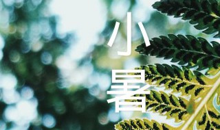 小暑农事歌（小暑的歌谣）