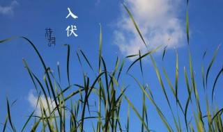 头伏是几月几号2021年 头伏是几月几号2021年立秋