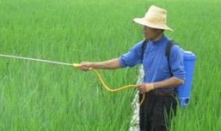 野老除草剂使用方法? 野老除草剂使用方法