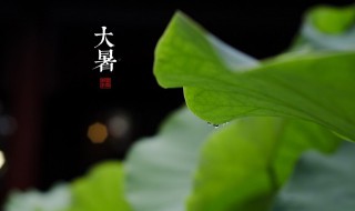 大暑有什么讲究?（大暑有什么讲究吃什么）