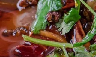 血鸭怎么炒（鸭血怎么炒?）