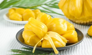 送菠萝蜜的寓意是什么 菠萝蜜花语寓意