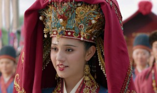 大宋宫词寿康公主扮演者叫什么（大宋宫词寿康公主扮演者叫什么名字）