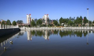 沙河是哪个省的城市（沙河是哪个省的城市批发市场）