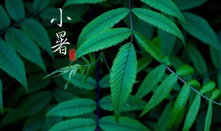 北方小寒节气吃什么食物介绍（小寒节气吃啥）