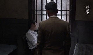 电视剧王志文演叛逆者剧情介绍（叛逆者王志文饰演的角色最后结局）