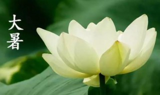 24节气大暑是什么意思 小暑大暑属于24节气吗