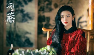 司藤大结局西西是谁 司藤剧情介绍西西