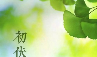 2021什么是三伏天 2021年三伏天是