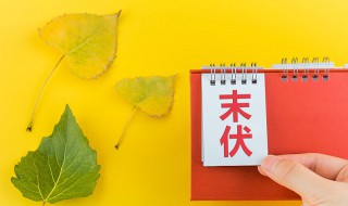 2021三伏天是什么意思 2021年三伏是哪些天