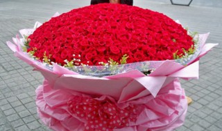 999朵玫瑰花是什么意思（999朵玫瑰花是什么意思啊）