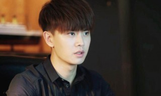 任嘉伦电视剧大全（任嘉伦电视剧大全锦衣之下第二部）