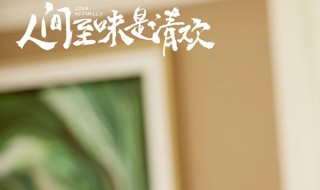 翟至味最后的结局（翟至味结局当明星）