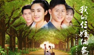 我的三妈俩爸剧情简介 我的三妈俩爸剧情简介详细