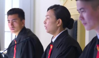 金牌律师剧情简介（金牌律师剧情简介详细）