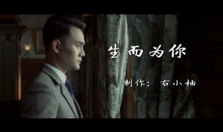 伪装者剧情简介大结局（伪装者大概剧情简介）