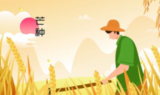 芒种做什么农活 芒种干什么农活