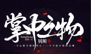 掌中之物小说简介（掌中之物在哪个小说平台）