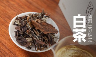 寿眉白茶简介 老寿眉的功效与作用