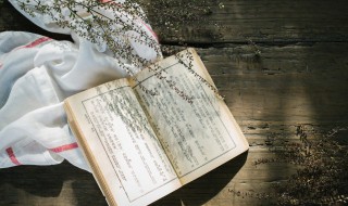 上古小说简介 上古小说简介大全