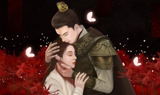 东宫小说简介（东宫小说简介百度百科）
