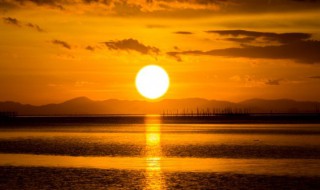 几度夕阳红小说简介（几度夕阳红小说在线阅读）