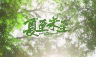 夏至未至片头曲谁唱的（夏至未至片头曲谁唱的最好听）