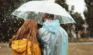 雨歌词（雨歌词含义）