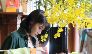刘婉荟八月长安作品 刘婉荟大学照片