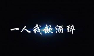 一人我饮酒醉喊麦歌词（喊麦一人我饮酒醉原唱歌词）