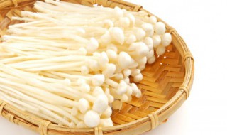 金针菇根部能吃吗 金针菇根部不能吃吗