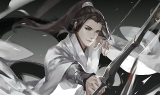 杀破狼内容概括（杀破狼内容概括30字）