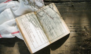 完美世界剧情概括（完美世界剧情概括大全）