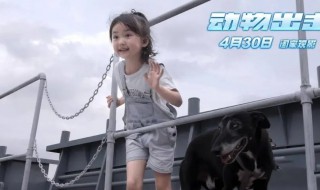 动物出击电影简介 动物出击这部电影