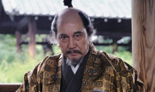 葵德川三代电视剧简介（葵德川三代的葵是什么意思）