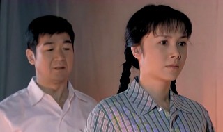 金婚电视剧简介（金婚电视剧介绍）