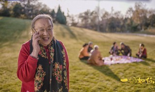 一切如你电影简介（一切如你电影简介中国首部老年国情）