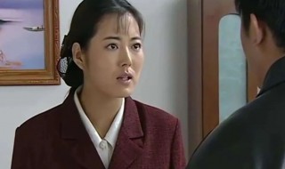 当家的女人电视剧简介（当家的女人电视剧全集连播）
