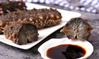 哪些人群不适合吃海参（哪种人不适合吃海参）