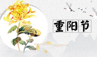 重阳节生日说说（重阳节生日说说配图）