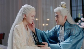 电视剧白发剧情介绍（电视剧白发剧情介绍大结局）