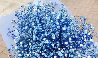 朋友生日送什么花 朋友生日送什么花好