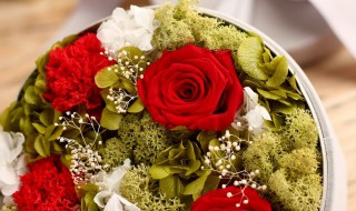 送男生什么花比较好（送花给男朋友送什么花比较好）