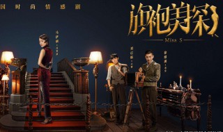 旗袍美探苏雯丽家里做什么的（旗袍美探苏雯丽的车是什么牌子）