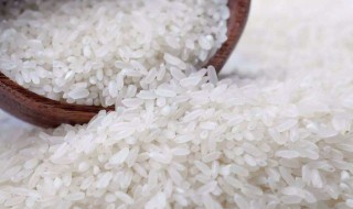 大米有虫子了怎样处理 家里大米生虫怎么除掉