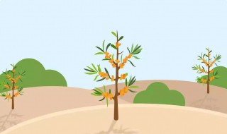 蚂蚁森林怎样让能量多 蚂蚁森林怎样让能量多40多kg