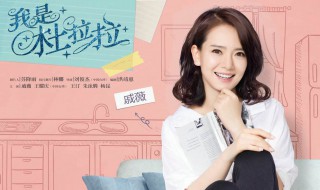 戚薇演的电视剧有哪些 戚薇机器人