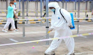 白蚊防治消杀方法（白蚊防治消杀方法图片）