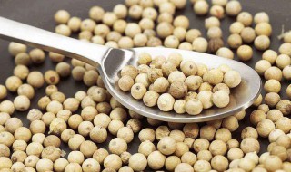 白胡椒粉的食用方法（白胡椒粉用法大全）