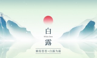 白露过后可以种什么蔬菜（白露过后可以种什么蔬菜水果）